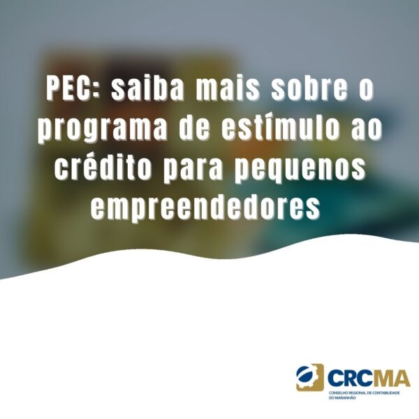 PEC: saiba mais sobre o programa de estímulo ao crédito para pequenos empreendedores