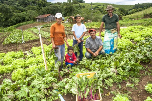 Maranhão amplia faixa de isenção do ICMS da agricultura familiar