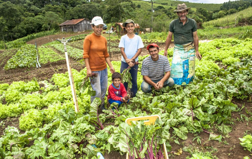 agricultura familiar 690227575